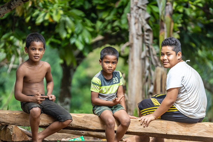 Relocated Leusoalii families thrive in the mountain