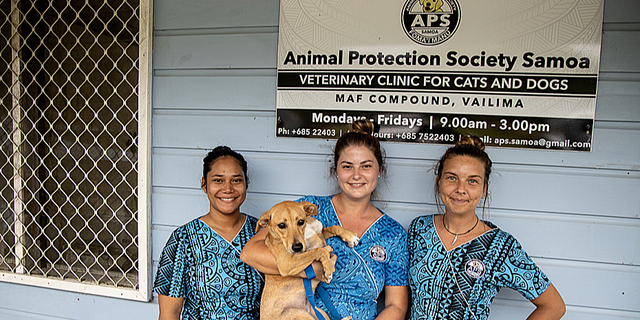 New equipment boost for veterinary care