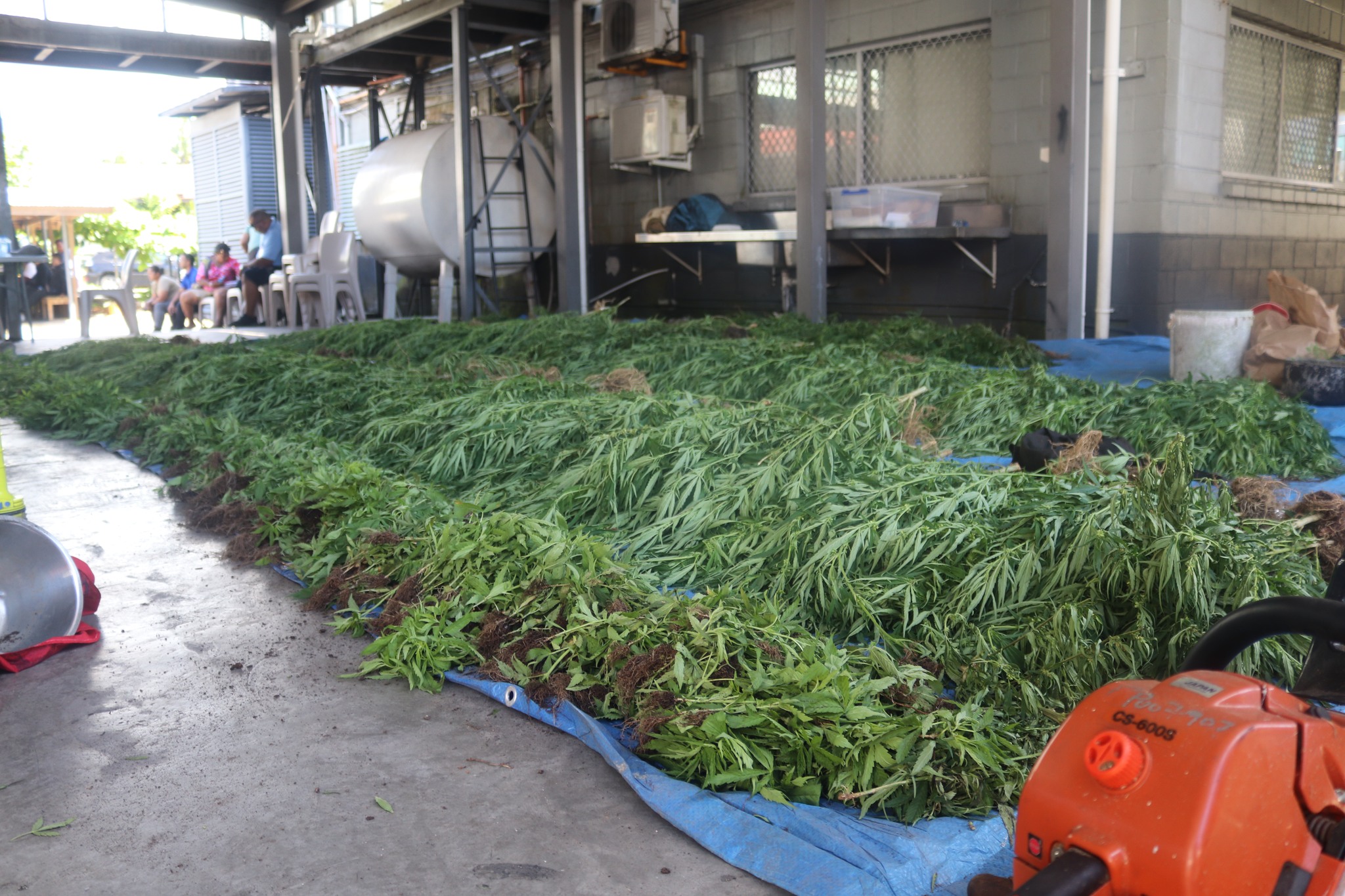 Drugs valued at $250K seized by Police