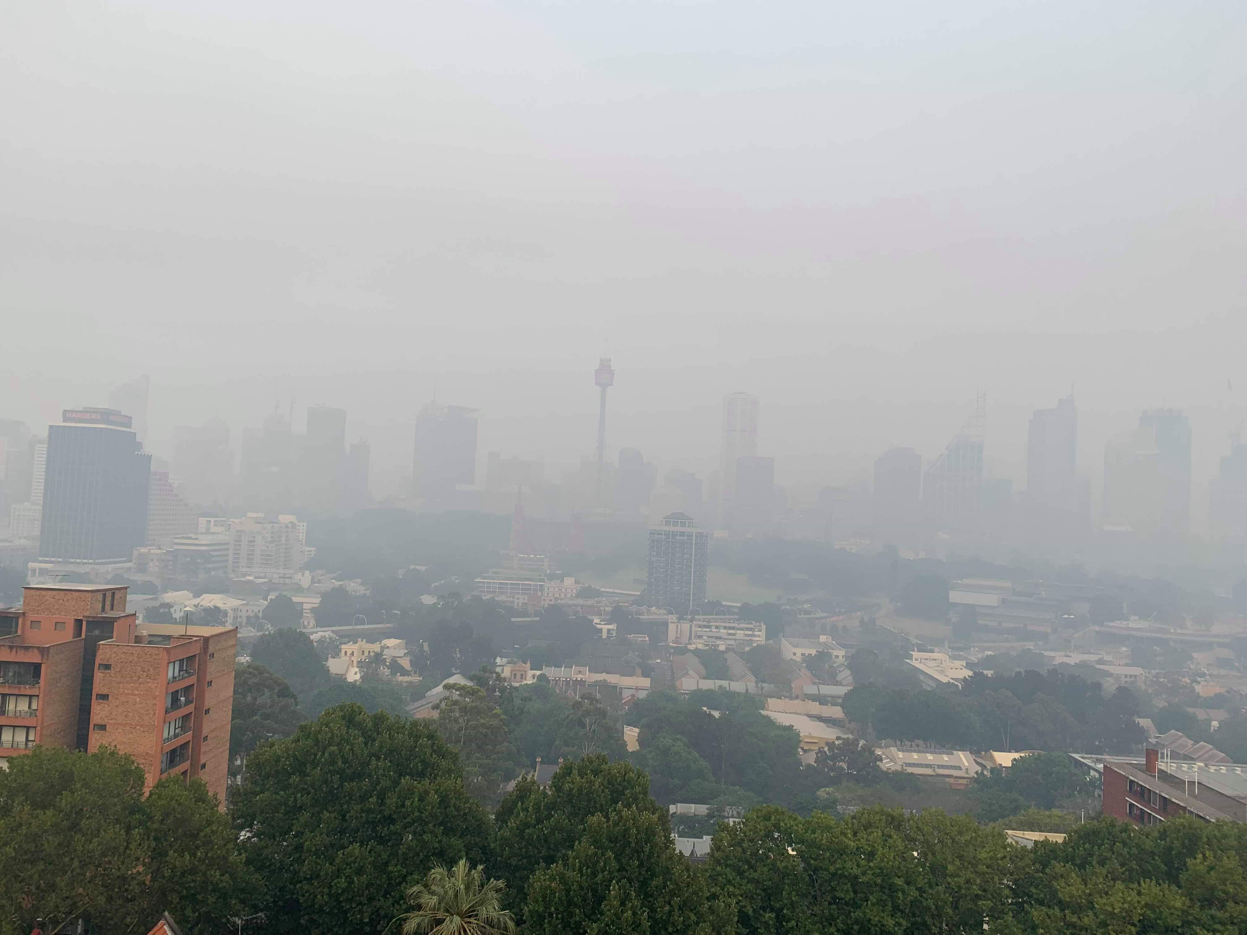 Samoan students give account of Sydney's bushfires