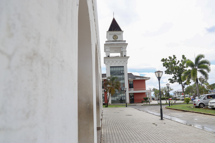 Influenza-like illness still high: report