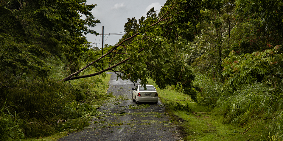 Reduced cyclone activity forecast