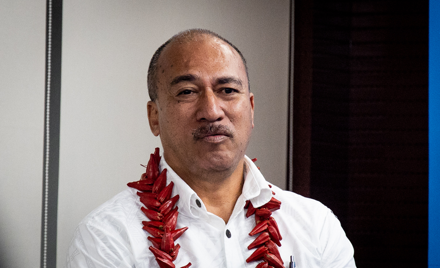 Samoa's first biomass gasification plant to open next year 