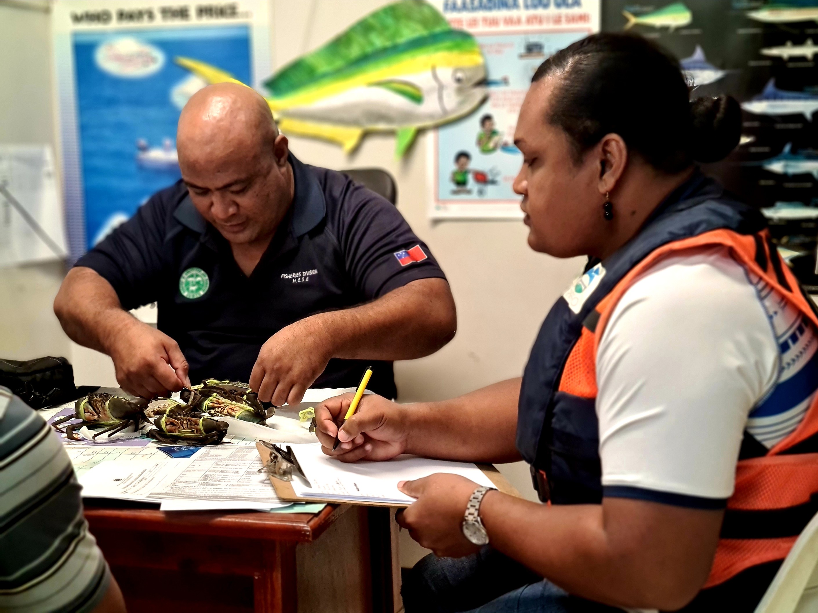 Conservationists back undersize fishing crackdown