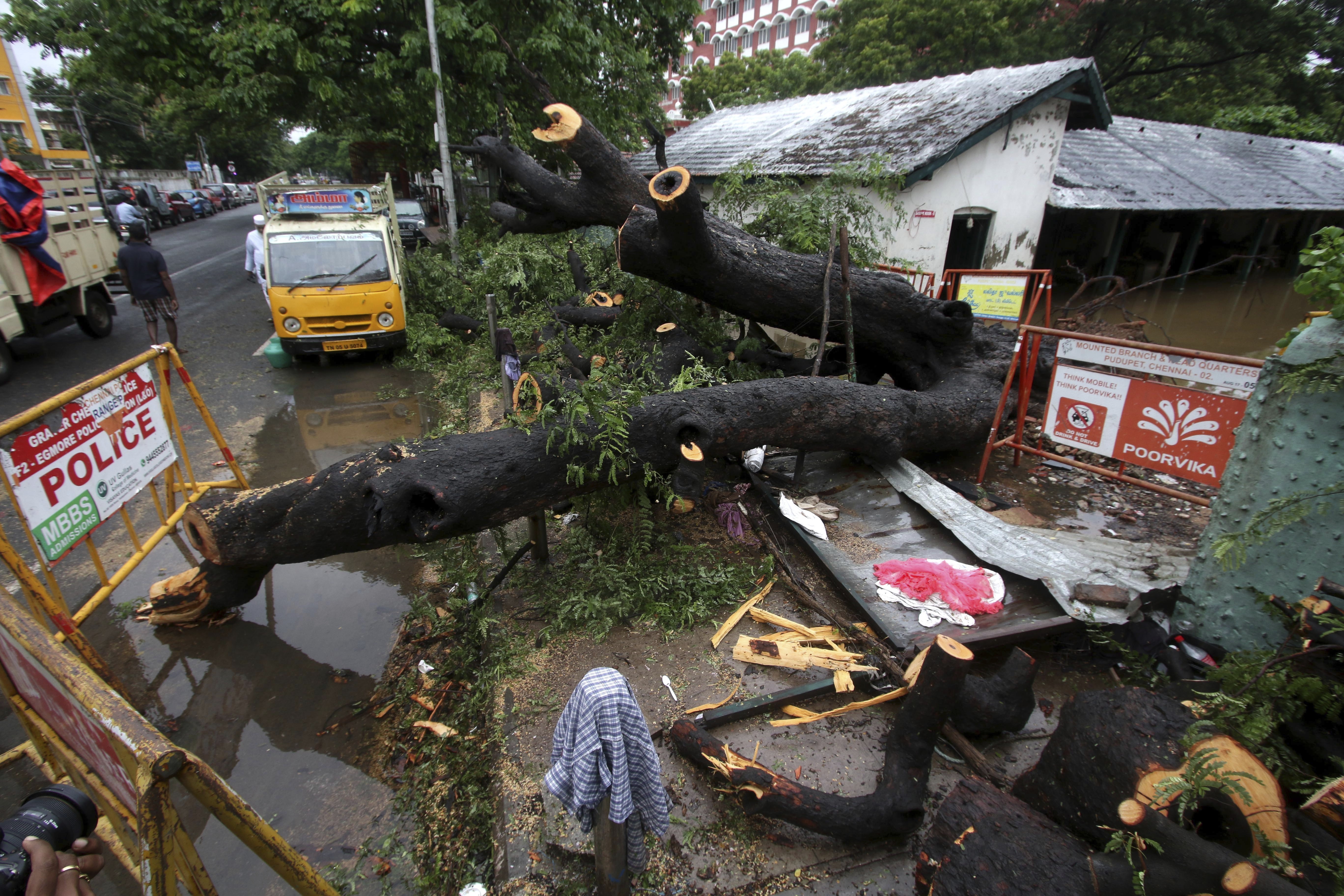 Cyclone uproots trees, floods streets in southern India
