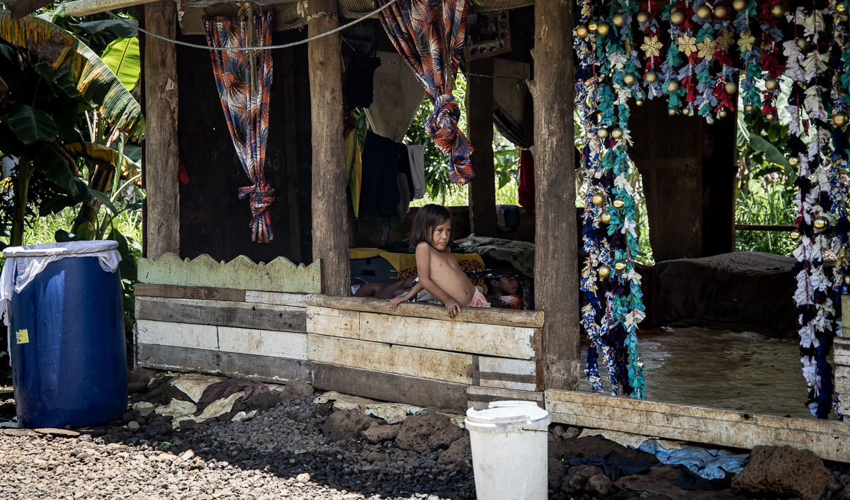 Family of 12 can do with some help