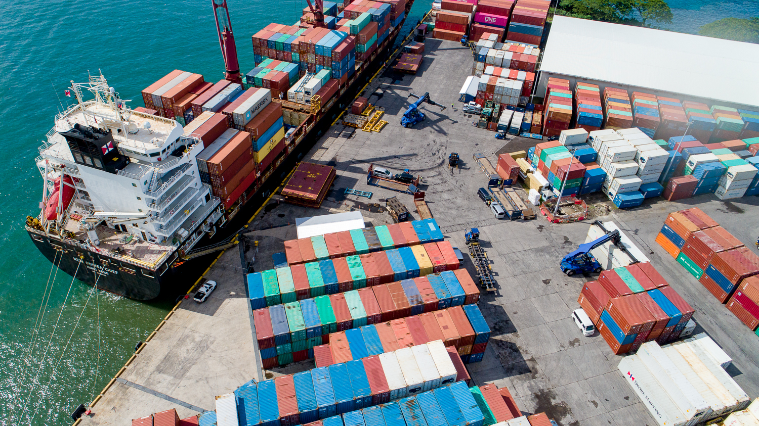 Economy shrunk but on rebound: report