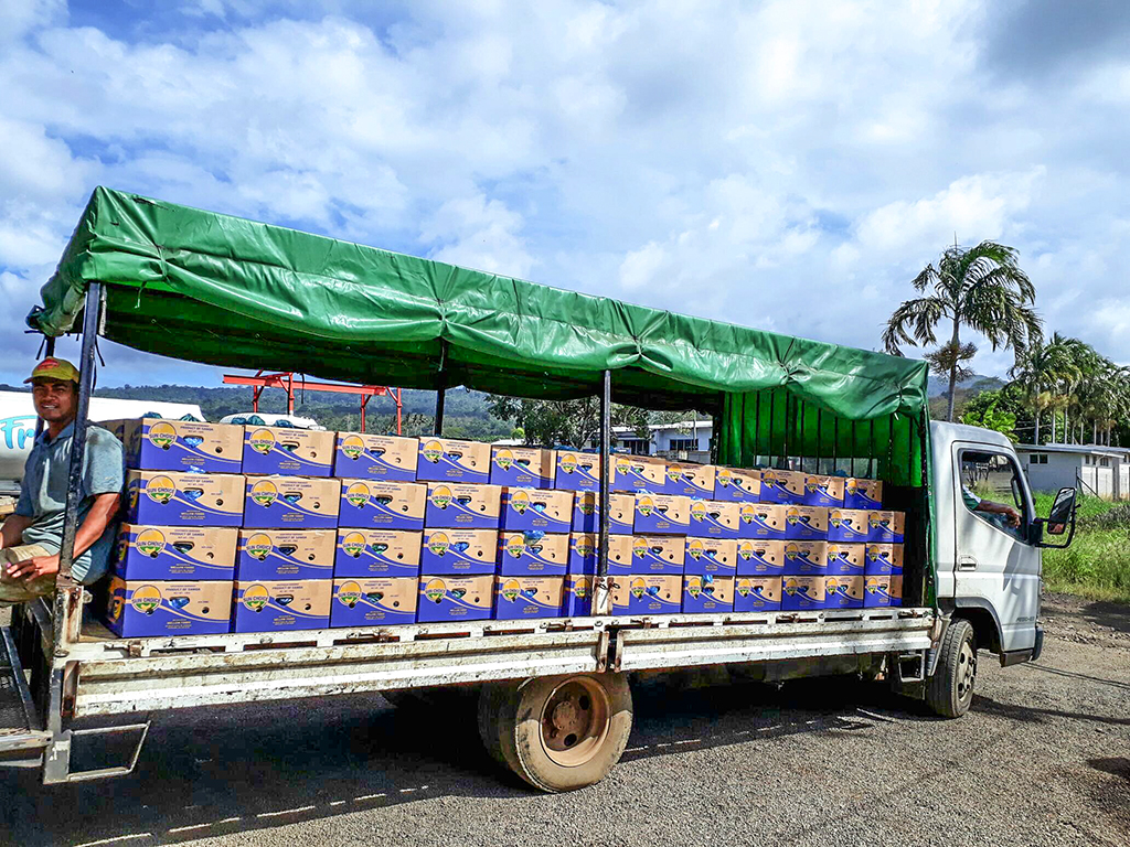 'An Elephant Sitting Still' wins top prize at Golden Horse