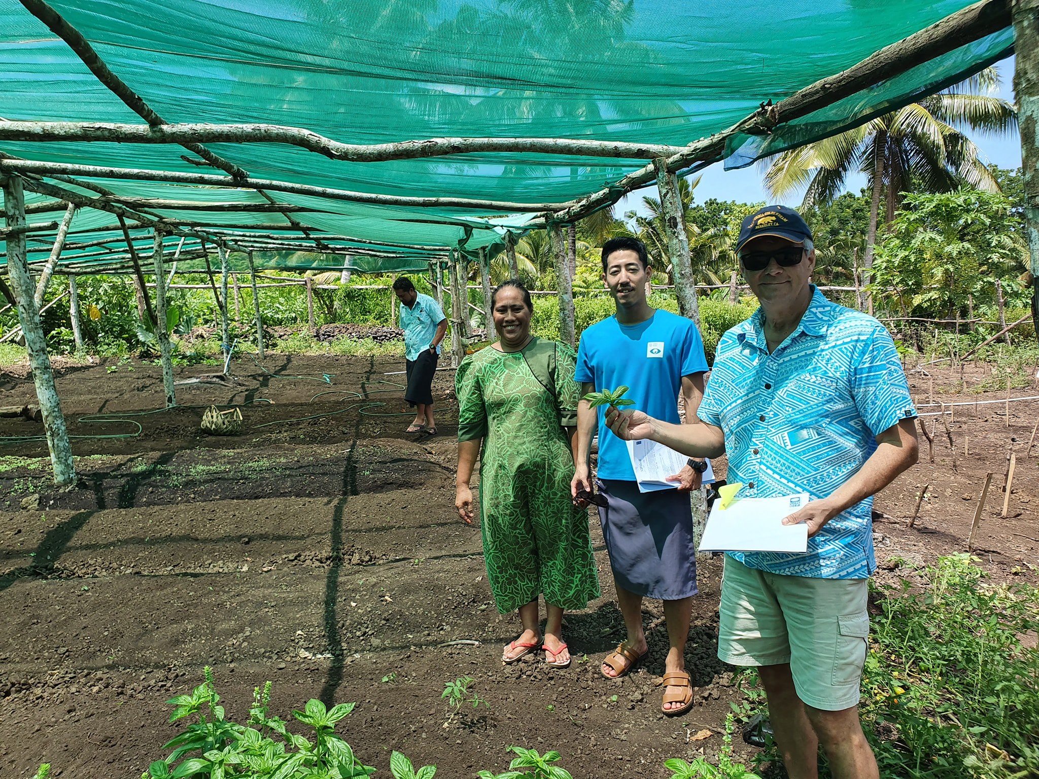 Organic vegetable garden path at Sataua 