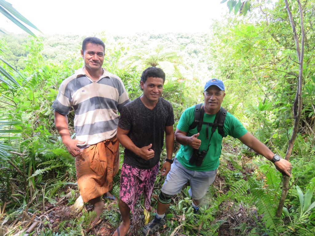 Samoa's flying foxes thrive in crater