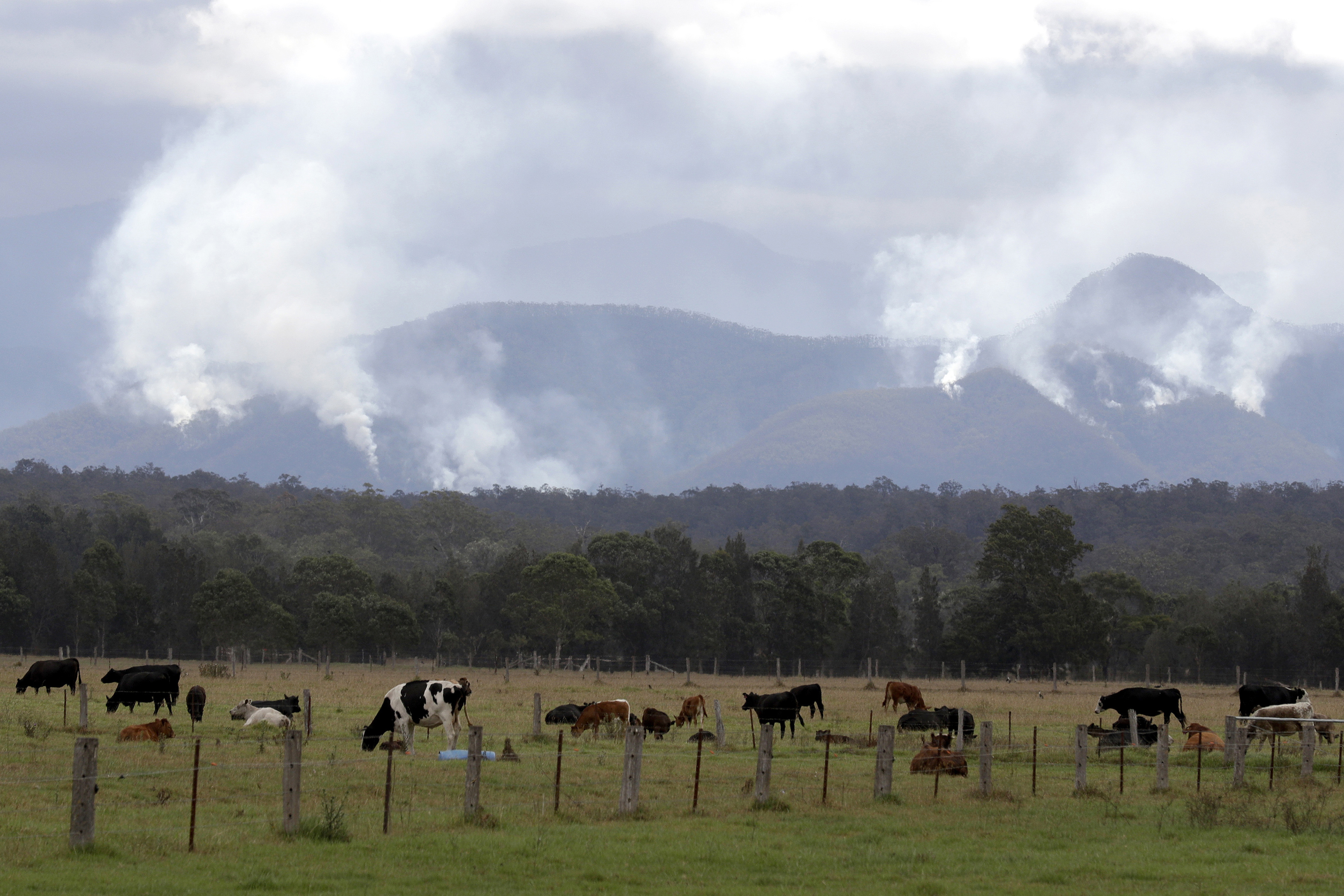 Australia rules out committing to methane reduction target 