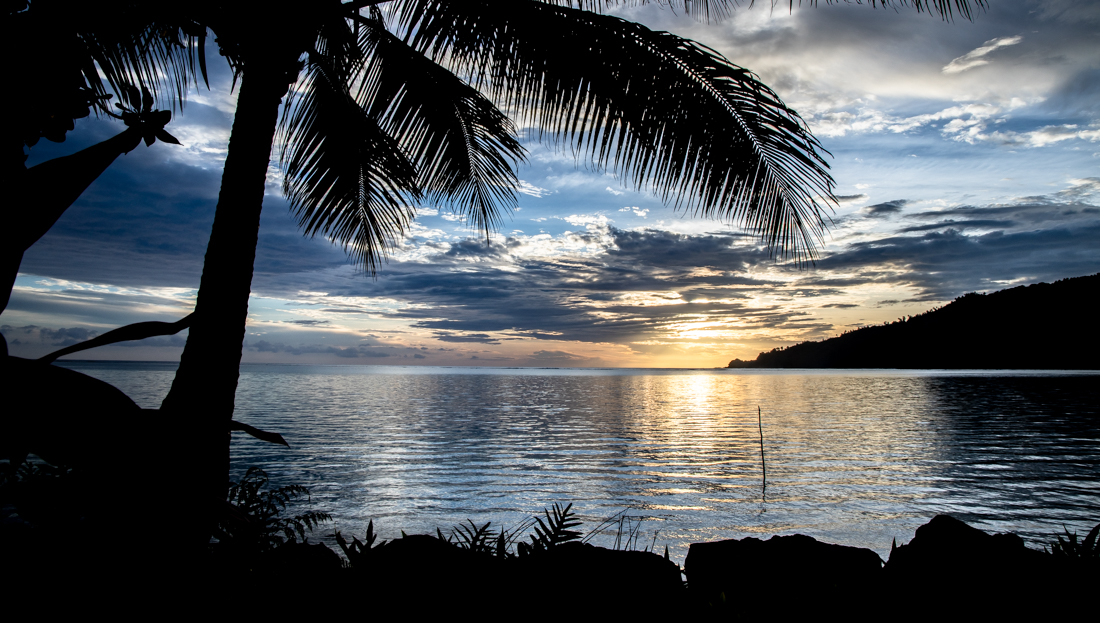 Virtual dialogue addresses ocean acidification 