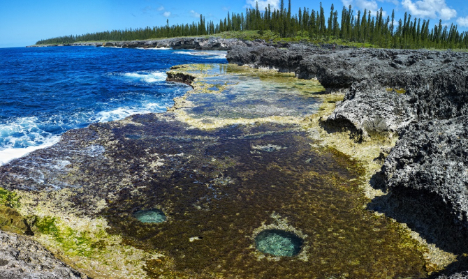 Samoa takes part in bio-trade webinar