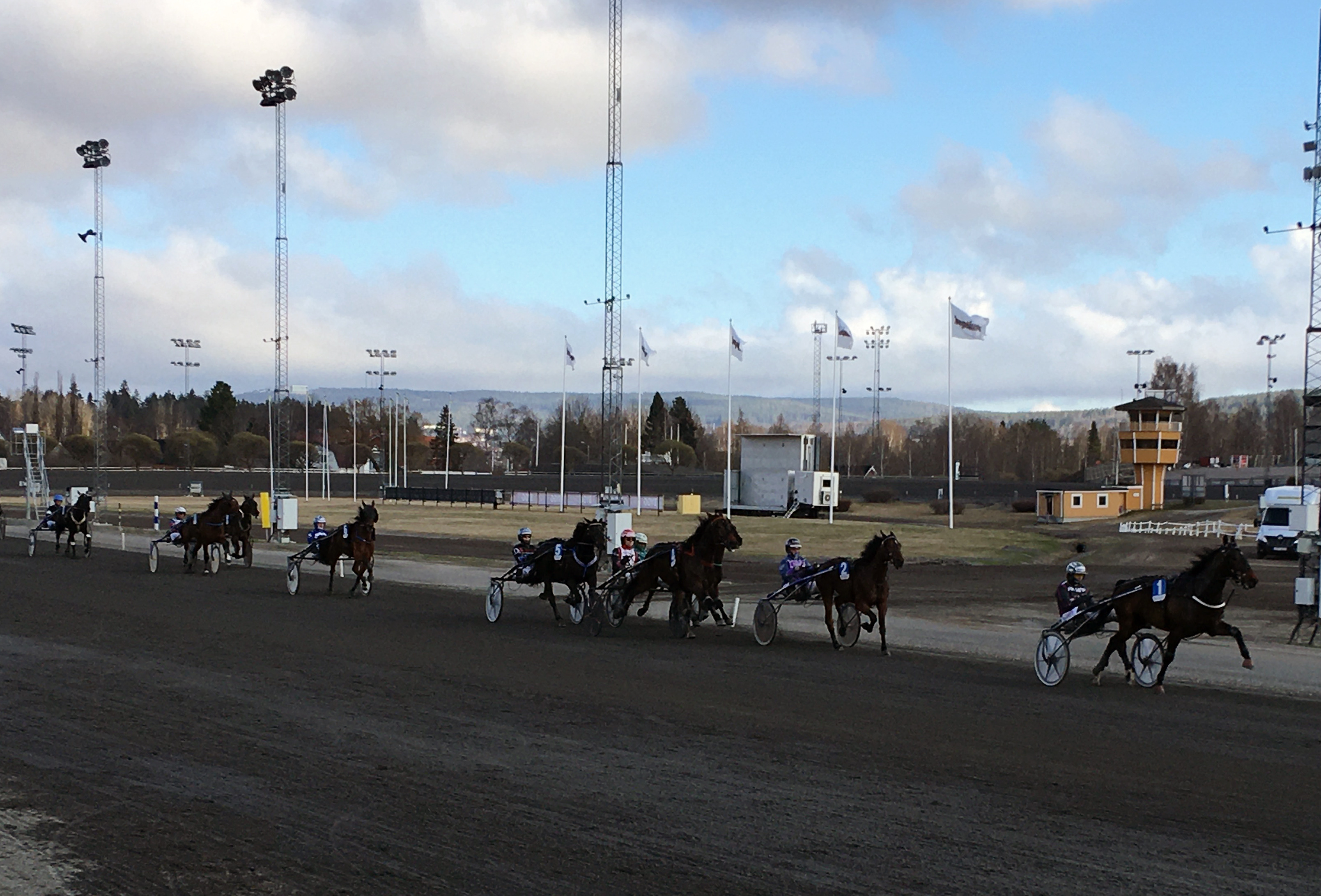 Trotting thrives in Sweden during sports shutdown
