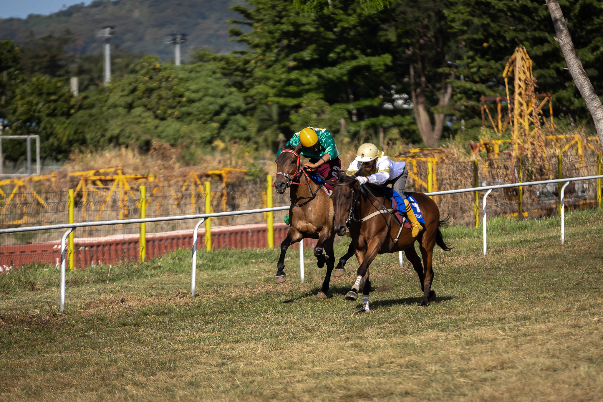 House Raving Samoa Observer | 2022 Teuila Horse Race Meet ends celebration
