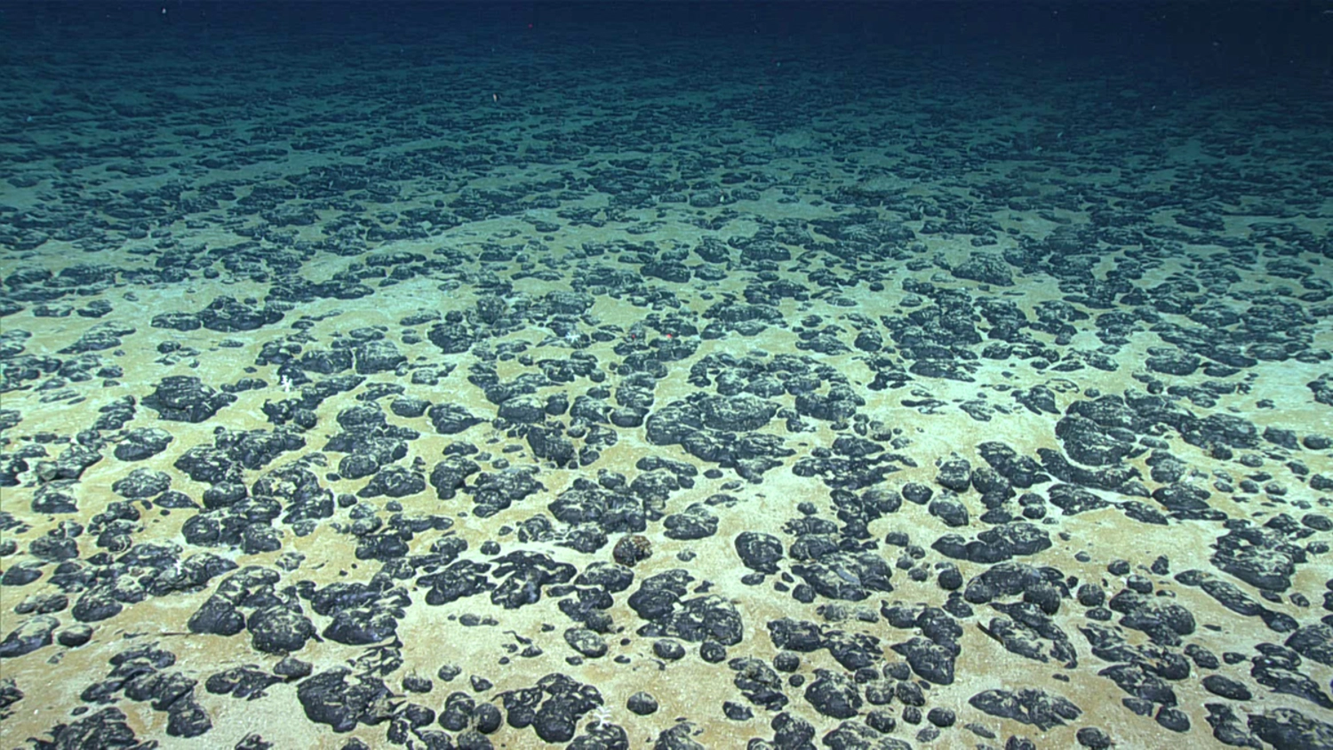 Seabed mining poses dangers to the Pacific: Report