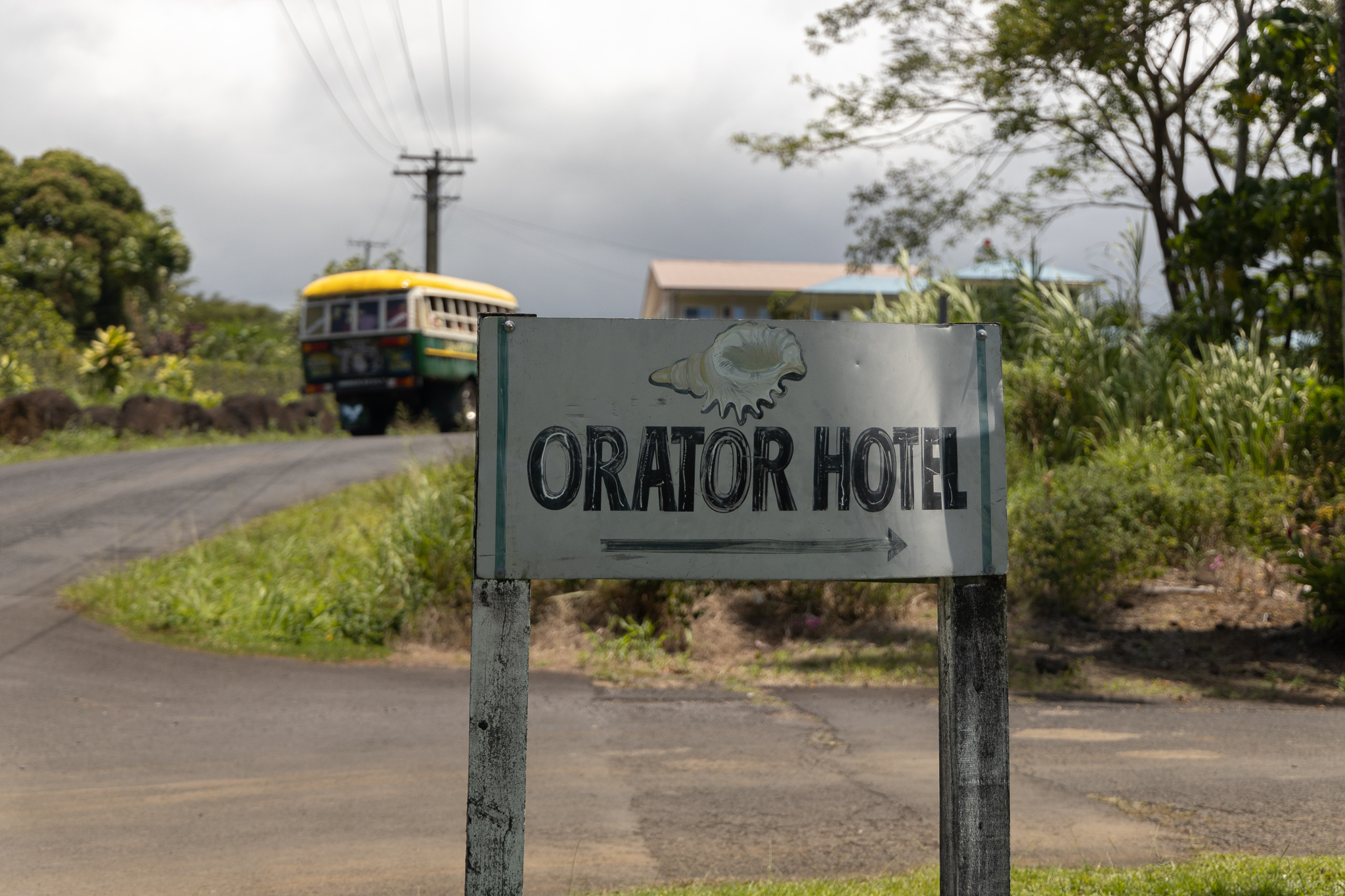 Three local hotels put up for auction