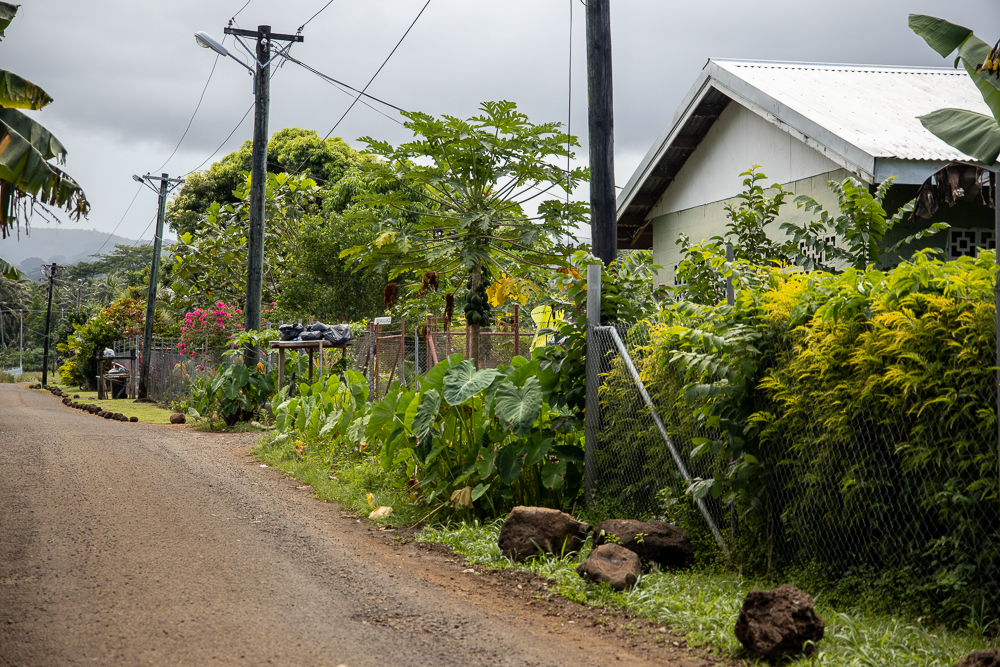 Regifting company halts operation temporarily