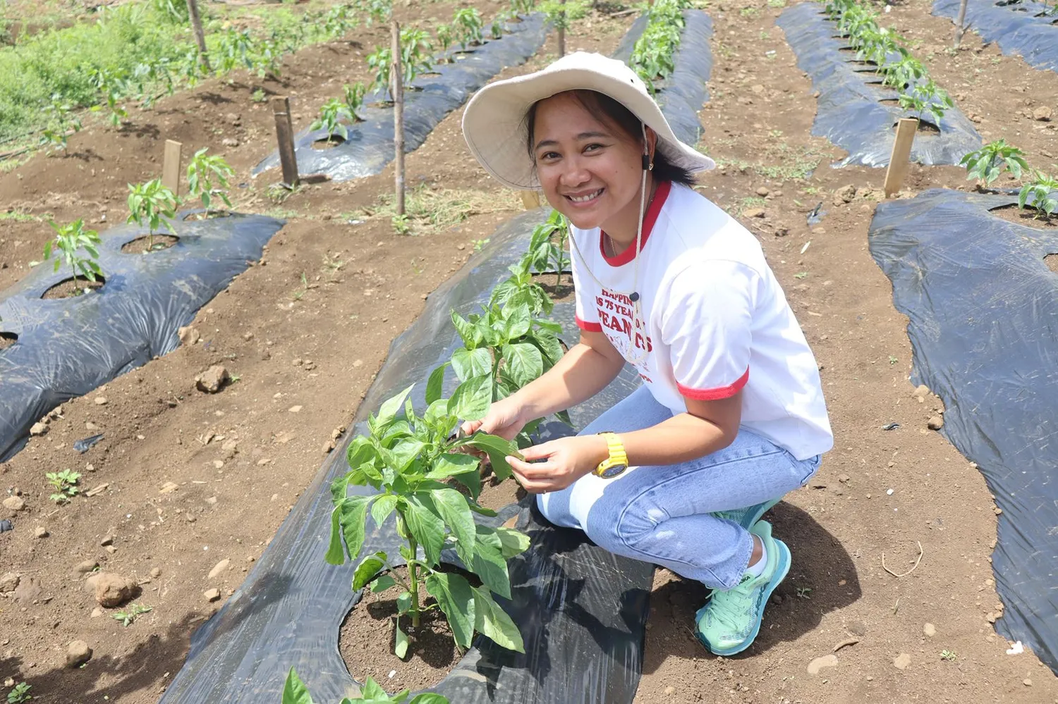 USP Samoa campus advances agriculture research