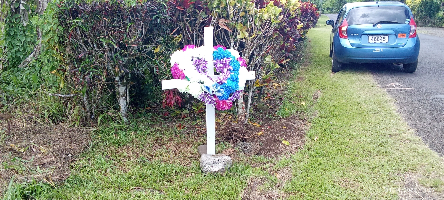 Car kills woman walking on roadside