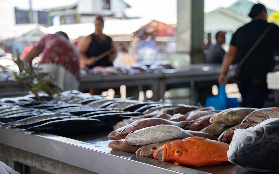 Mixed reactions to Sunday fish market closure