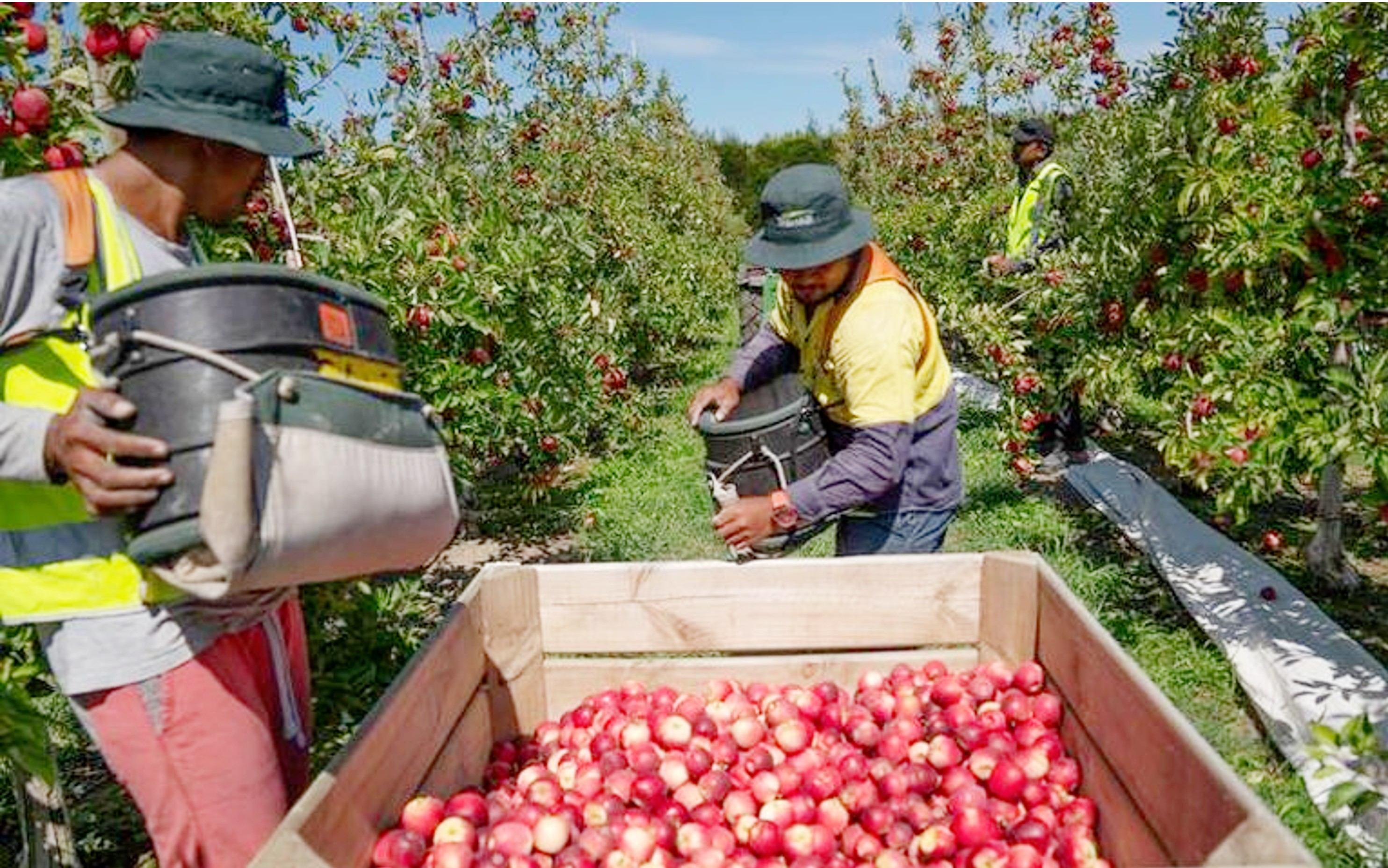 A critical link: R.S.E. workers and human rights