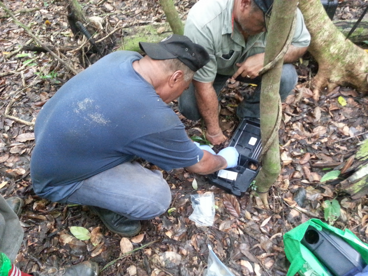 Global outlook highlights work of Pacific countries