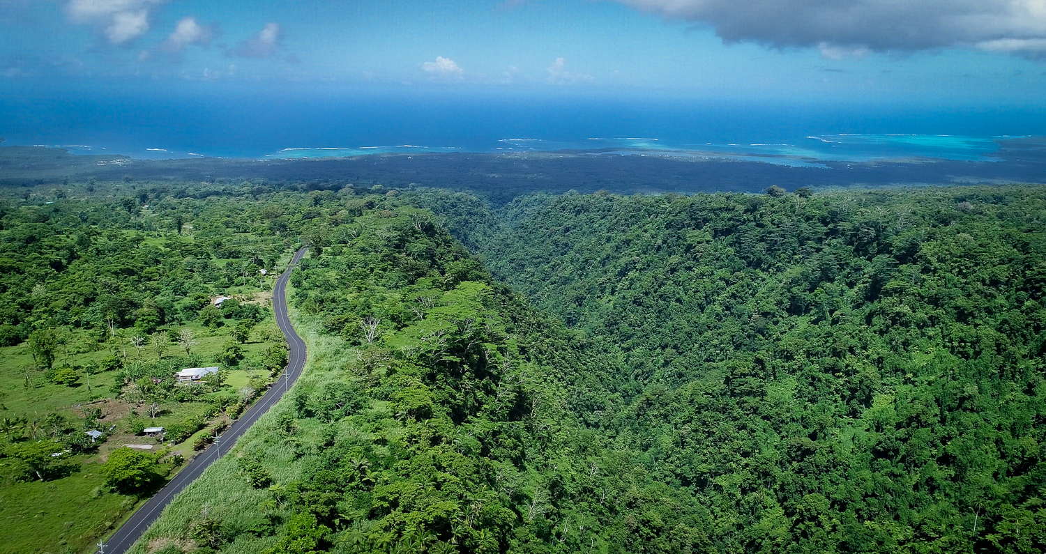 Oversized trees and oceans on environment week agenda