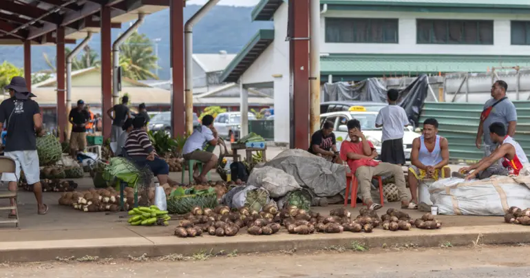 Boosting domestic agriculture in Fiji, Samoa, and Solomon Islands
