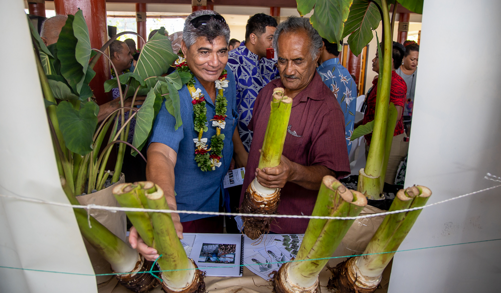 New variety "talo vave" launched