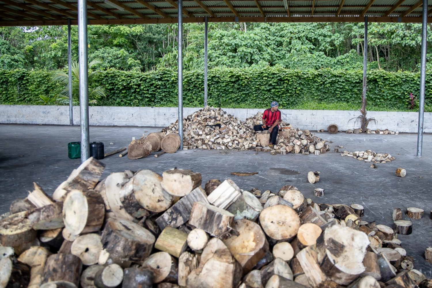 $14m loss in Mulifanua biomass project