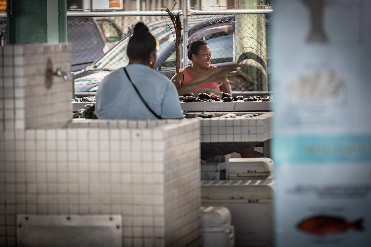 Ministry gets tough on undersize catch