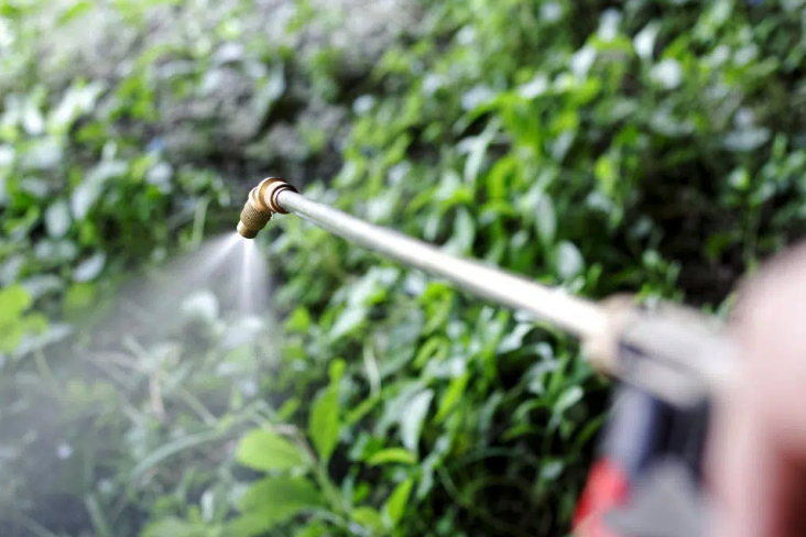 Review weed killer's use with urgency