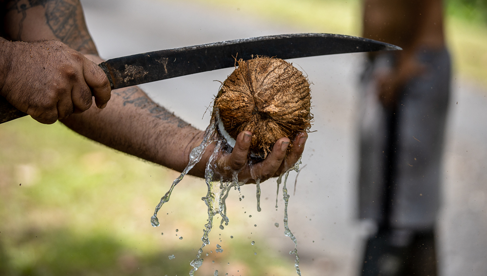 Coconut oil's effect on mild COVID-19 cases investigated