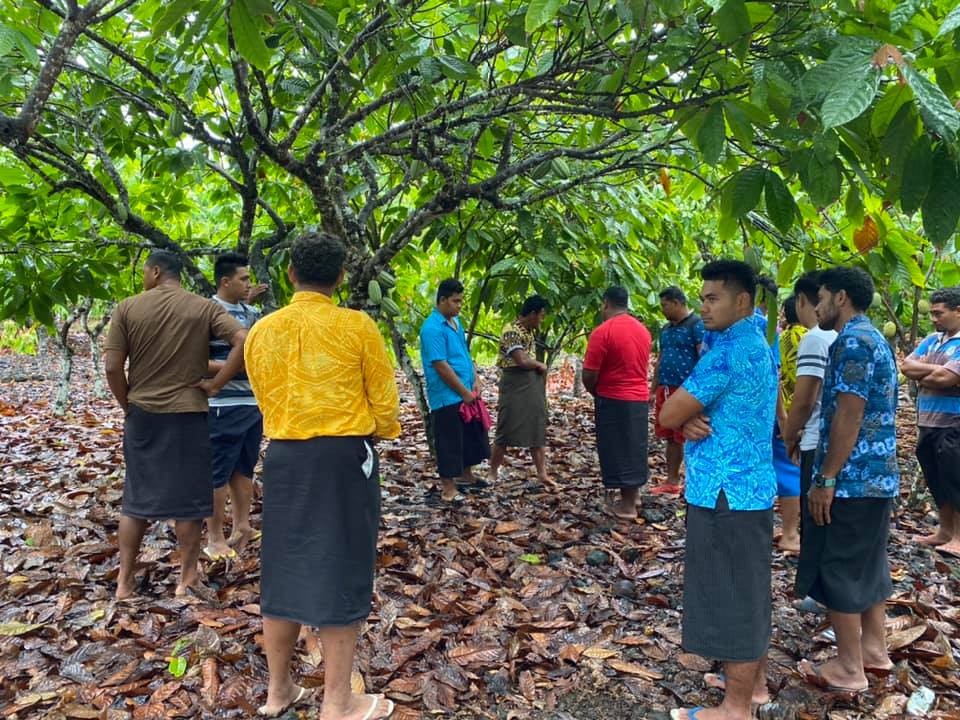 Koko Workshop prepares young farmers