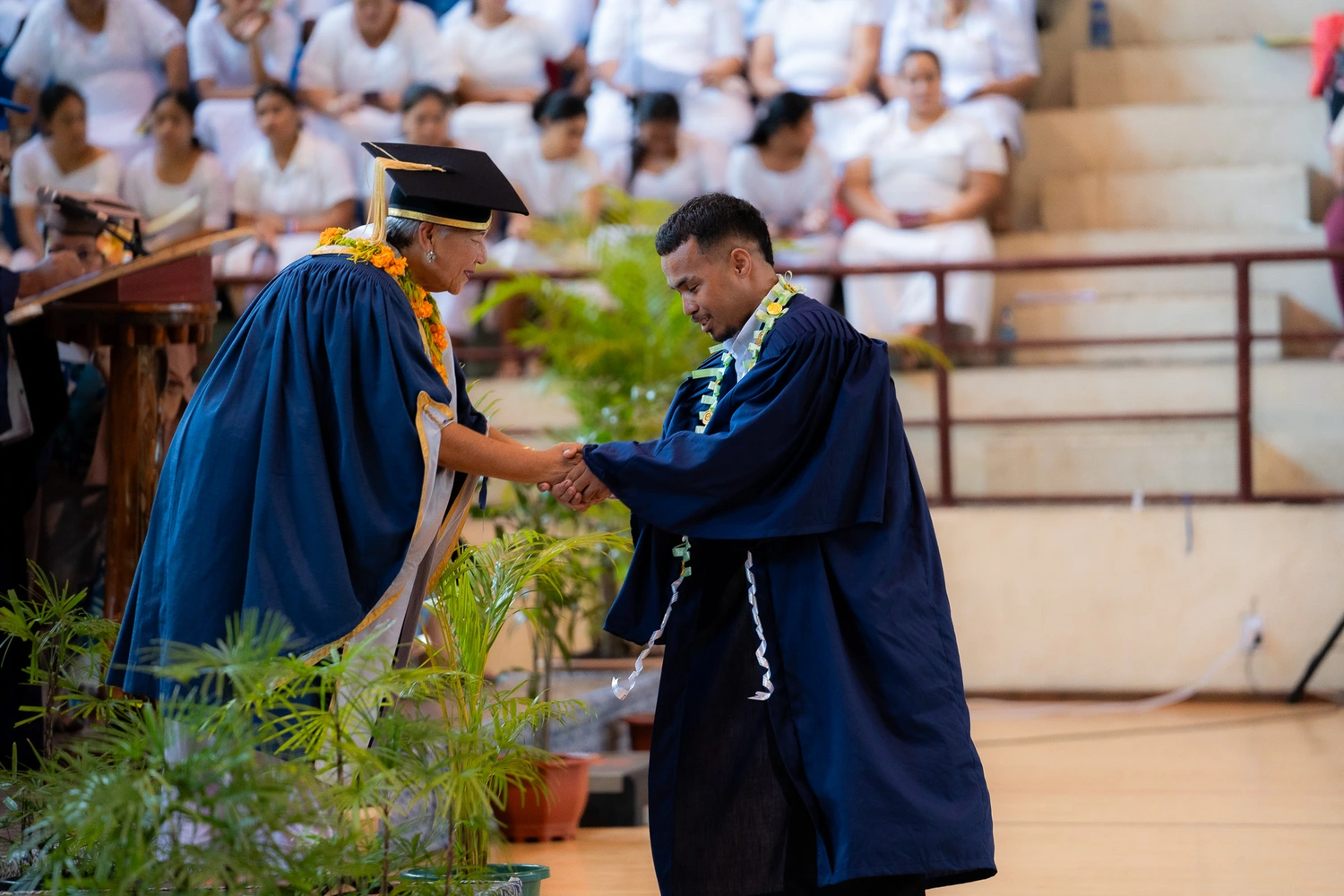 The success that can be attained through free education