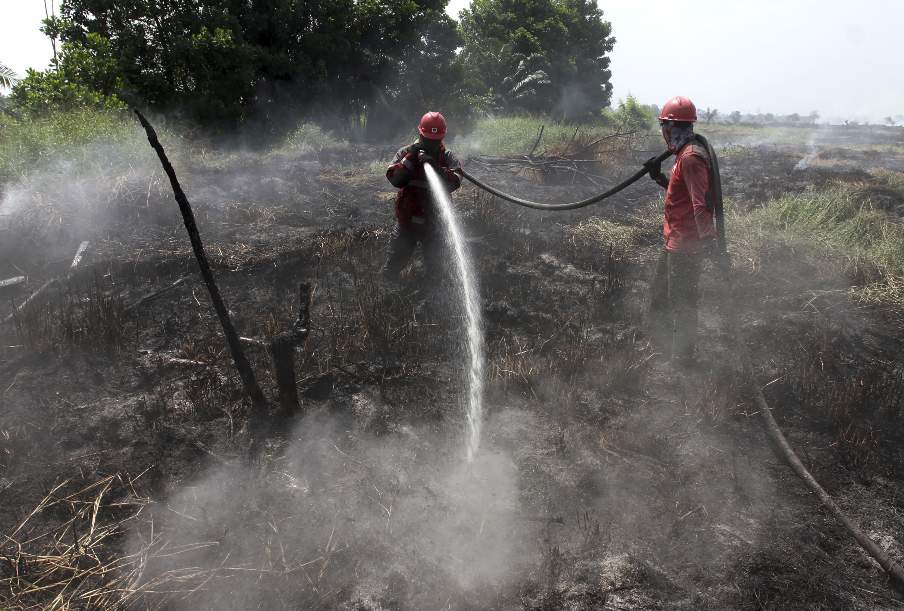 Indonesia steps up response to massive forest fires