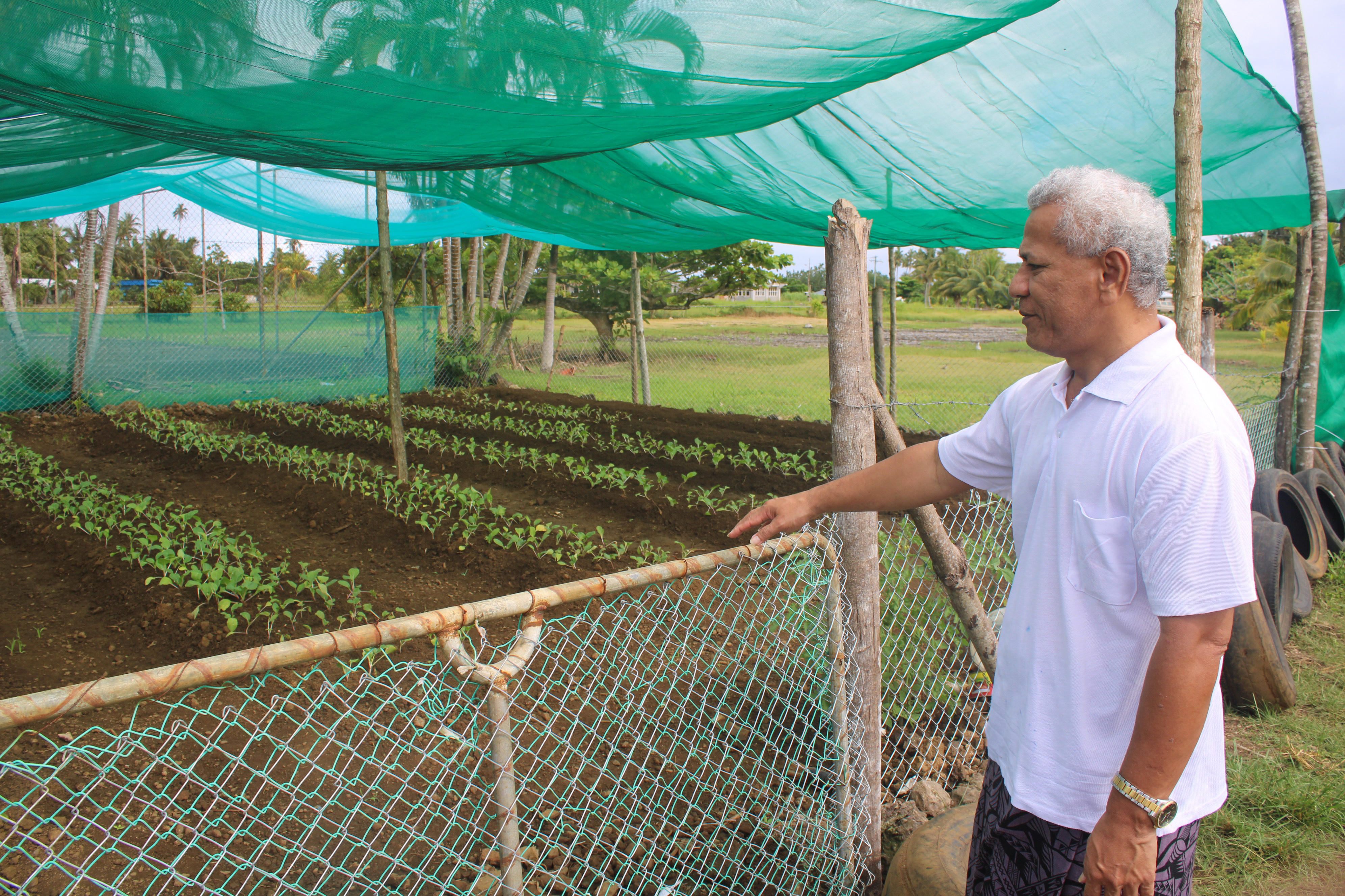 Moata'a youth thrive on vegetable sales