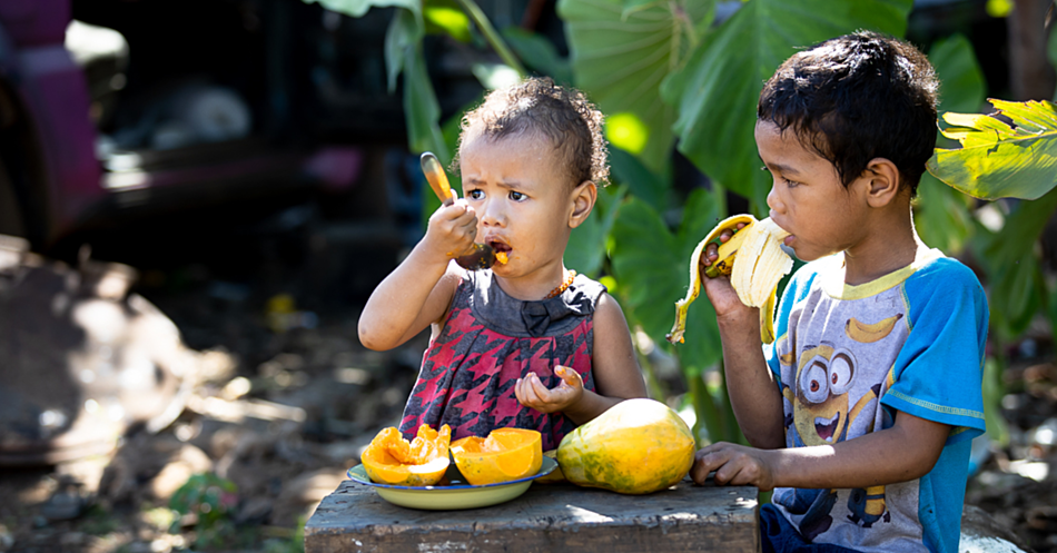 Governments urged to take nutrition lead