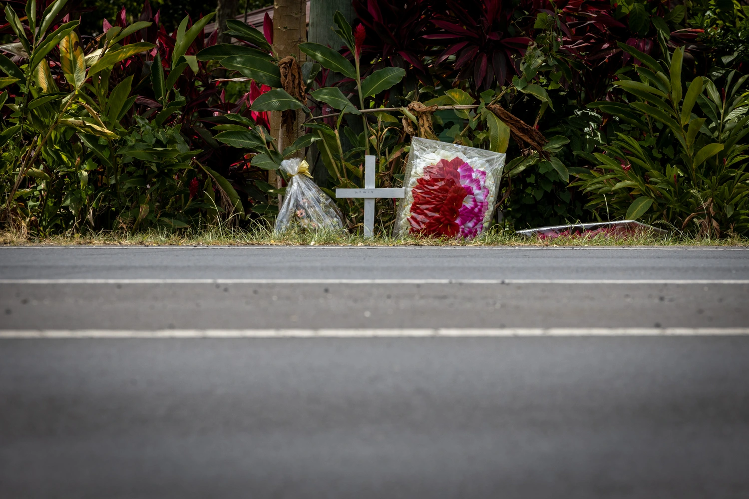 Vailoa hit and run suspect in Court 