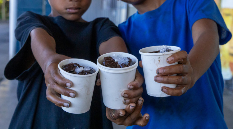 In the defence of Koko Samoa