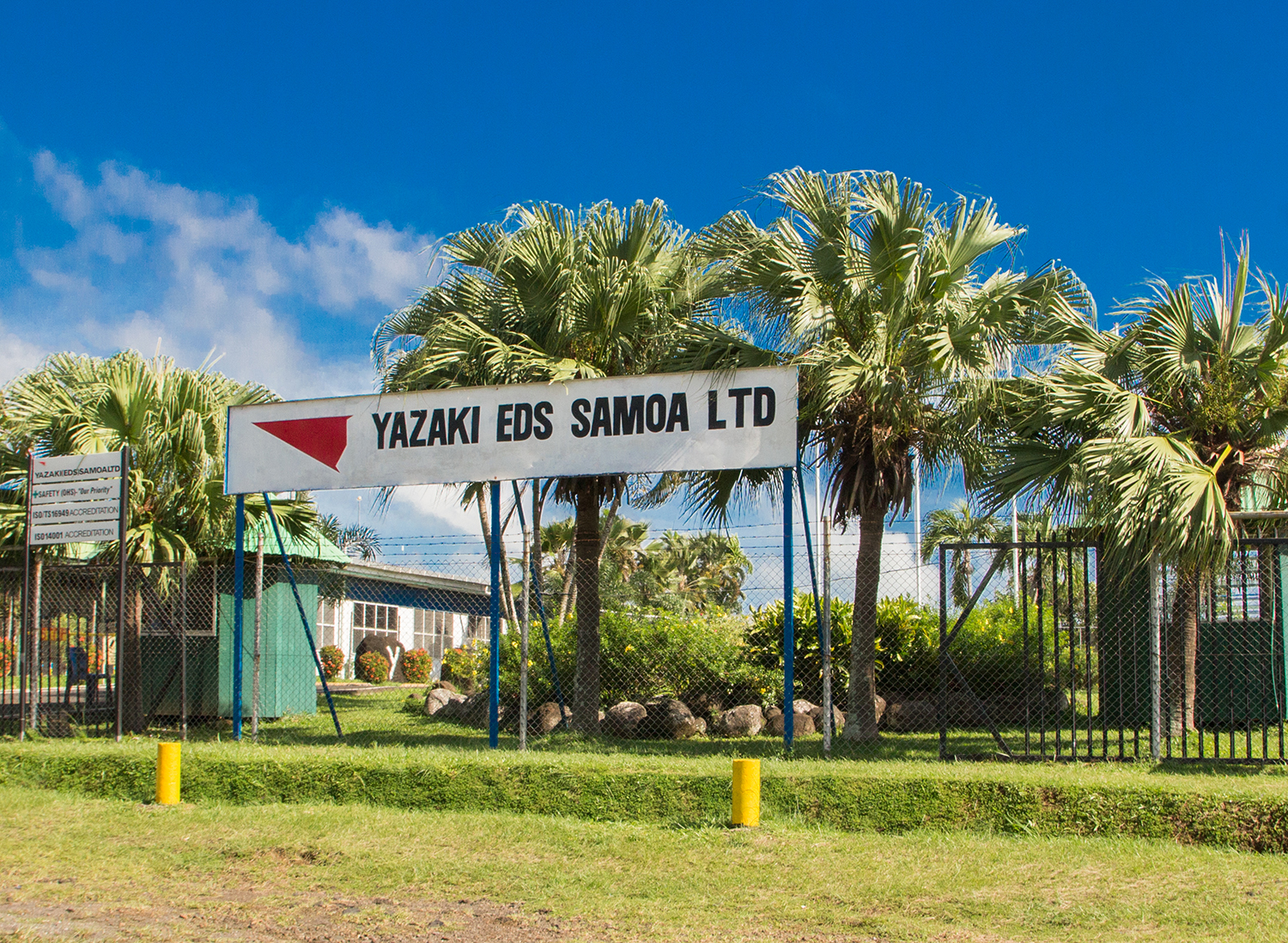 Japan winger Kentaro Kodama joins Melbourne Rebels