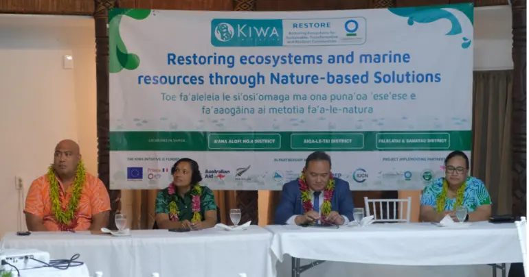 More than 12,000 coral fragments planted 