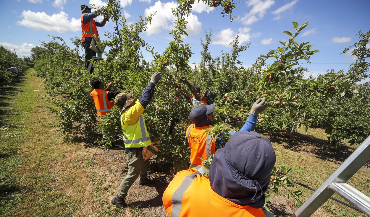 Report dismisses "slavery" claims as misunderstanding