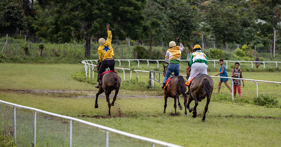 Kiwi wins Vailima Classic at New Year races