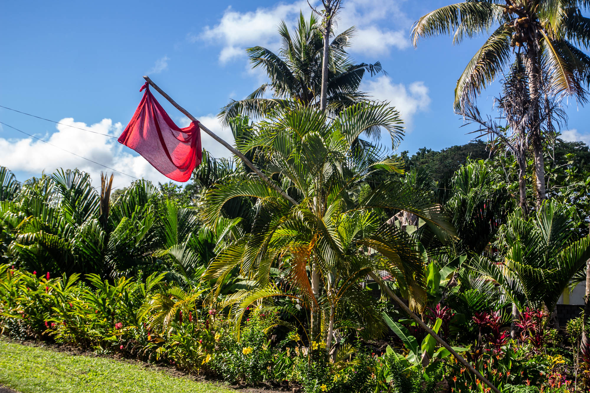 Savai'i embraces vaccination campaign