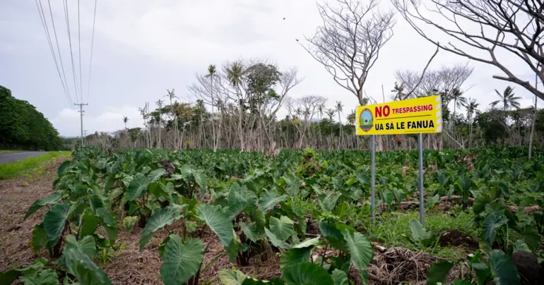 Rural farmers struggle with costs and weather