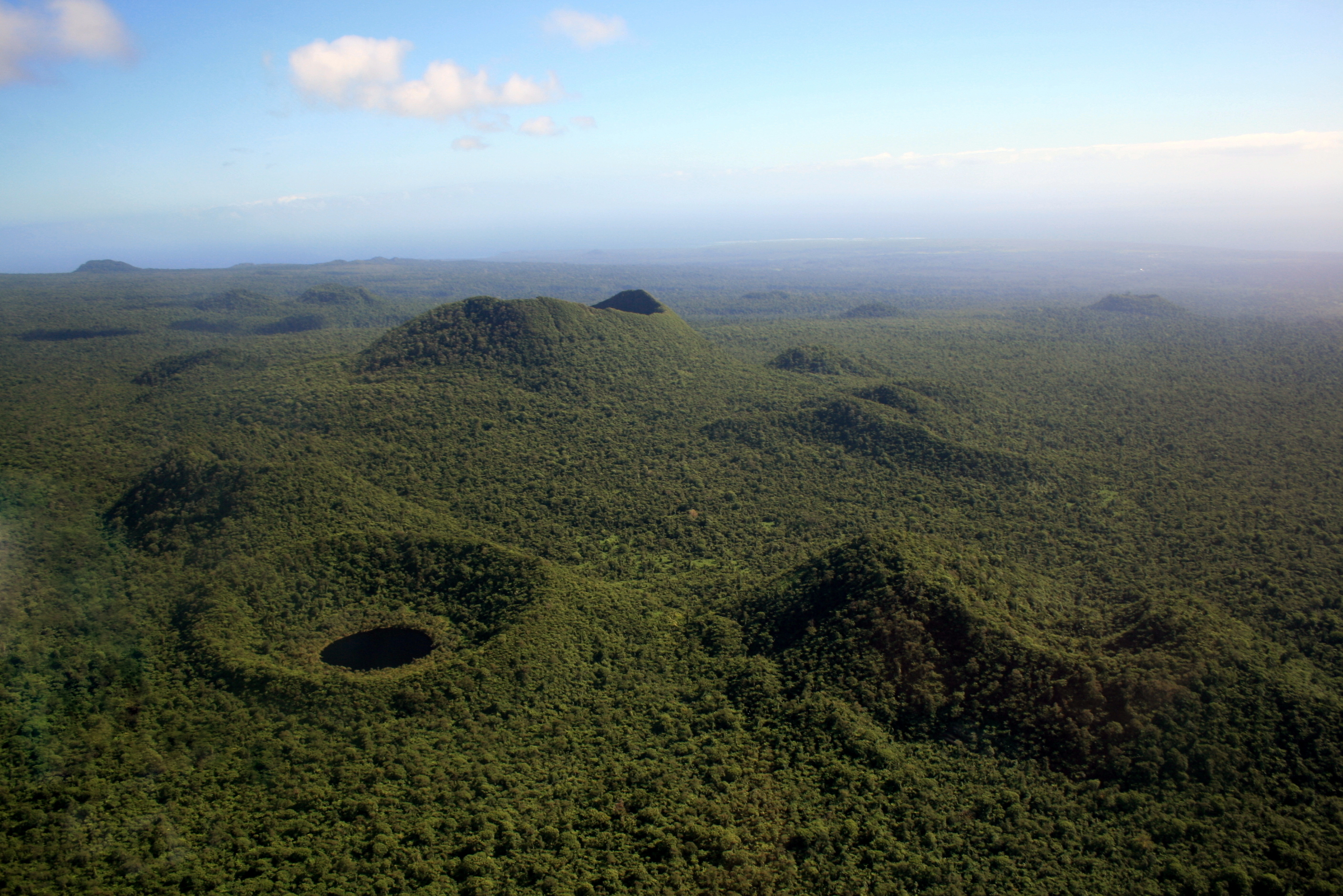 Samoa can be conservation leader: environmentalist