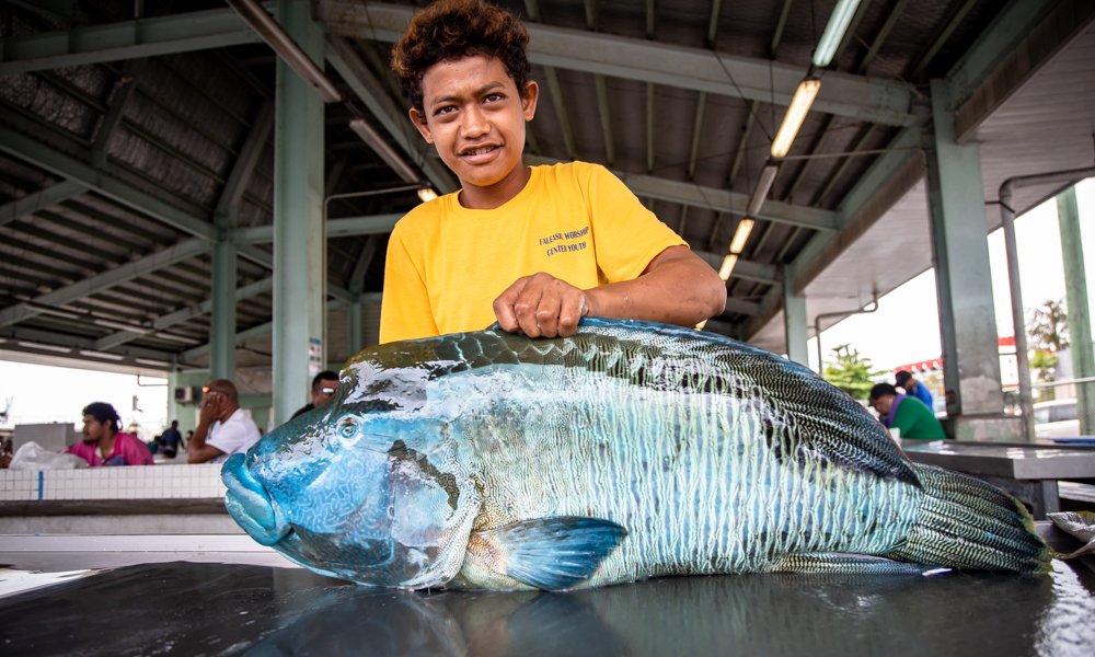 Savalalo market fish sellers reap profits