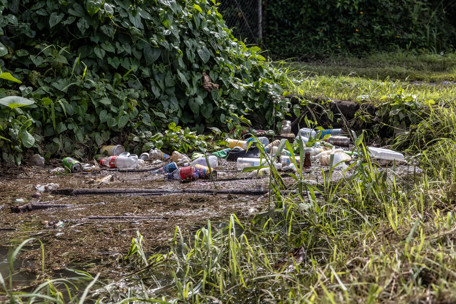 Marine Litter concern in Samoa